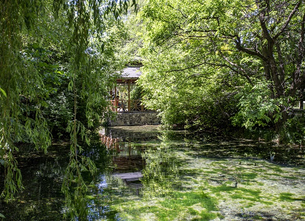 Foto - Herkes bu bahçeye akın ediyor