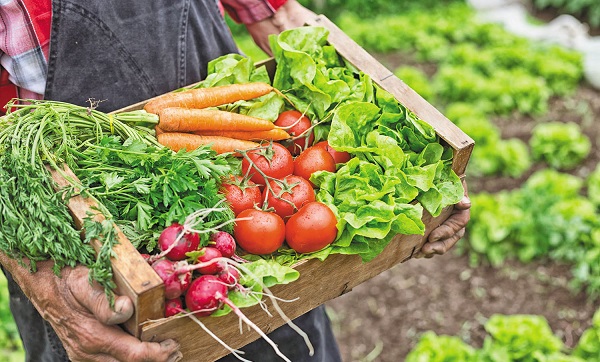 Foto - Herkes bu diyeti merak ediyordu! Araştırmalar bu diyetin riskini açıkladı