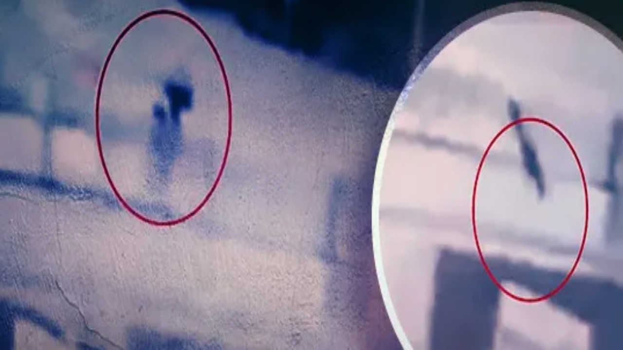 Herkes bu görüntüleri konuşuyor! İstanbul’da akılalmaz anlar! Köprüden yola böyle balıklama atladı, feci şekilde can verdi