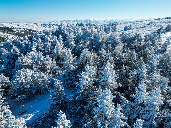 Foto - Herkes bu görüntüye hayran kaldı