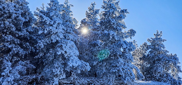 Foto - Herkes bu görüntüye hayran kaldı