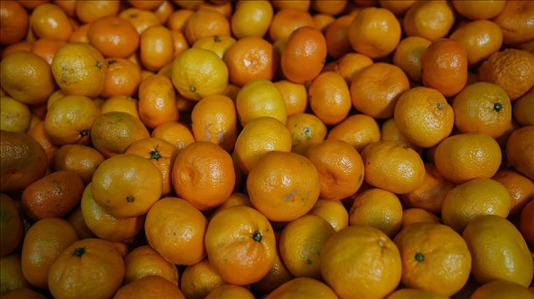 Foto - Herkes bu hatayı yapıyor! Mandalinayı sakın böyle yemeyin