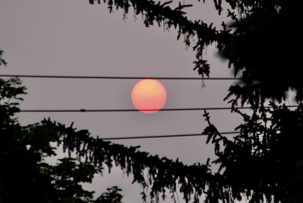 Foto - Herkes bu olayı konuşuyor! ABD’de Güneş'in rengi değişti! 