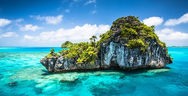 Foto - Herkes bu olayı konuşuyor! Tatil dönüşünde bavuldan öyle bir şey çıktı ki!