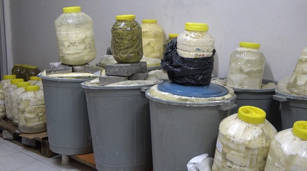 Foto - Herkes bu peynire hayran! İşte yayla peynirinin sırrı