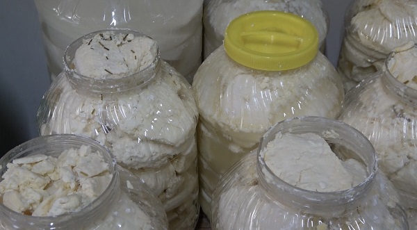 Foto - Herkes bu peynire hayran! İşte yayla peynirinin sırrı