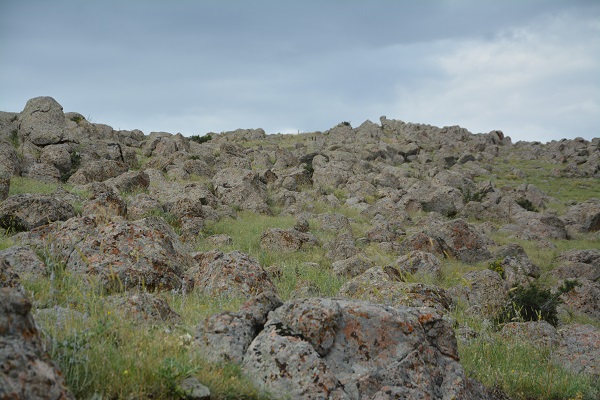 Herkes bu sorunun cevabını merak ediyor! Ankara Savaşı nerede oldu? 