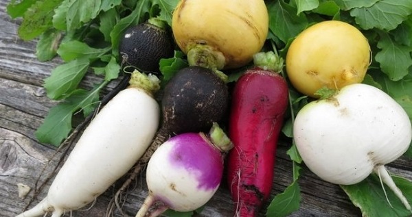 Foto - Herkes bu tarifi konuşuyor! 1 ay içinde incecik olabilirsiniz