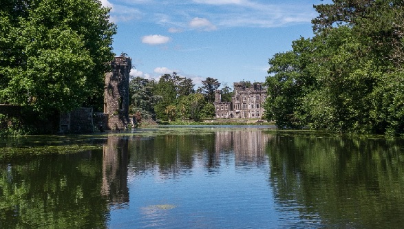 Foto - Herkes bunu konuşuyor! 850 yıllık şatoda bakın ne bulundu
