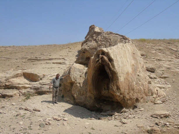 Foto - Herkes canavar sanıyor!