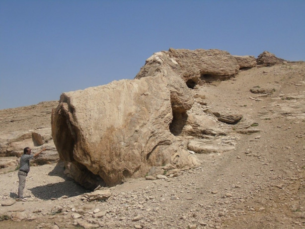 Foto - Herkes canavar sanıyor!