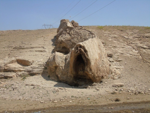  Herkes canavar sanıyor!