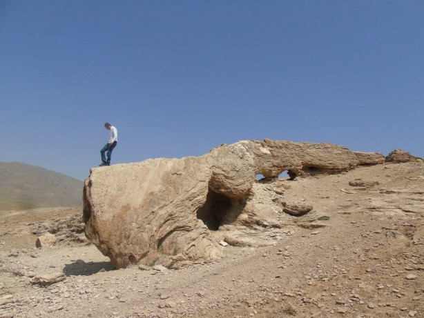 Foto - Herkes canavar sanıyor!