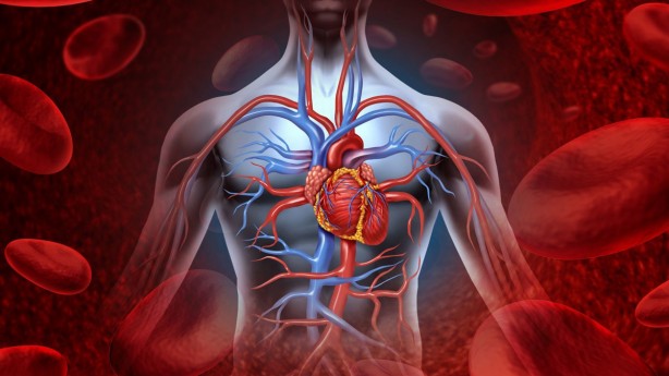 Foto - Herkes çöpe atıyor! Limon kabuğunun inanılmaz faydası