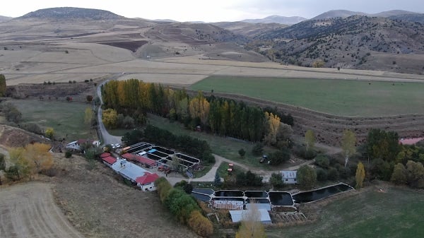 Foto - Herkes hayran! Bataklığı bu hale getirdi