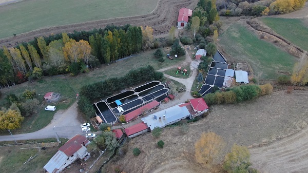 Foto - Herkes hayran! Bataklığı bu hale getirdi