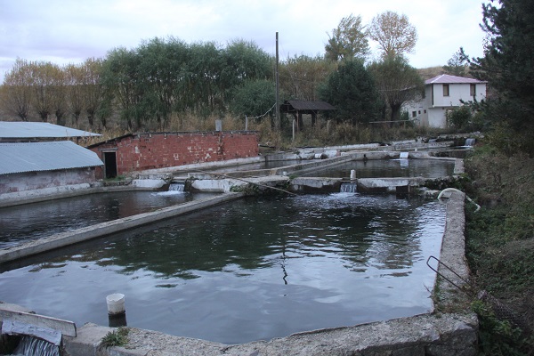 Foto - Herkes hayran! Bataklığı bu hale getirdi