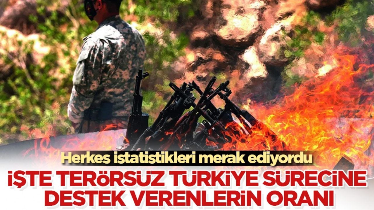 Herkes istatistikleri merak ediyordu: İşte Terörsüz Türkiye sürecine destek verenlerin oranı