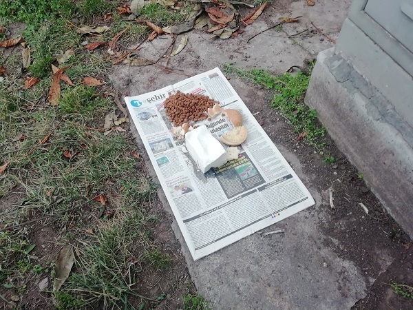 Foto - Herkes iyilik yaptığını sanıyor! Bu hata hayvanların sağlığıyla oynuyor