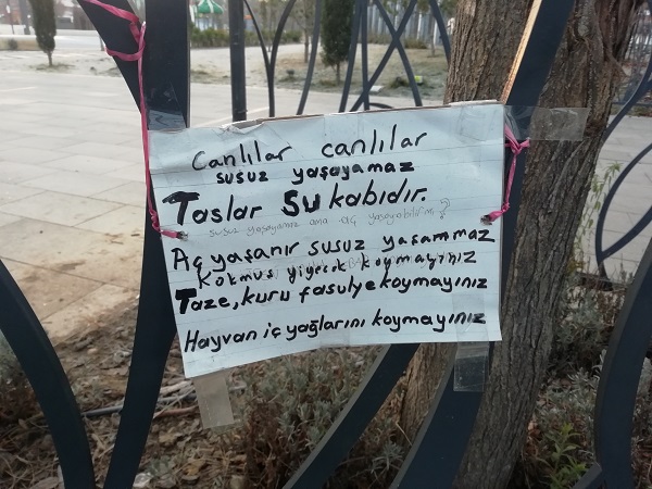 Foto - Herkes iyilik yaptığını sanıyor! Bu hata hayvanların sağlığıyla oynuyor