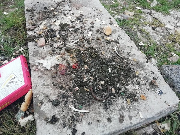 Foto - Herkes iyilik yaptığını sanıyor! Bu hata hayvanların sağlığıyla oynuyor