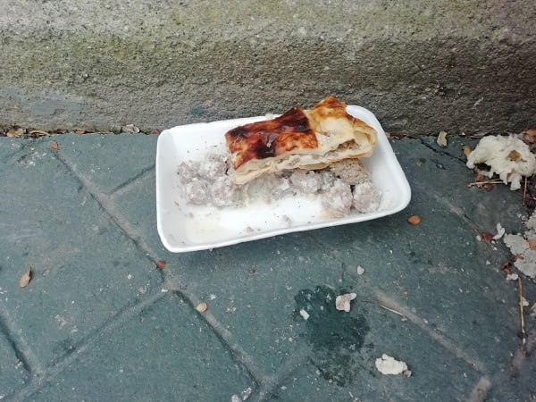 Foto - Herkes iyilik yaptığını sanıyor! Bu hata hayvanların sağlığıyla oynuyor