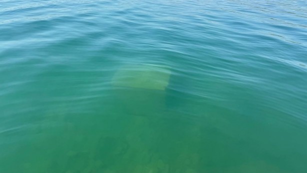 Foto - Herkes ne olduğunu merak ediyor: İznik gölünde şaşırtan cisim!