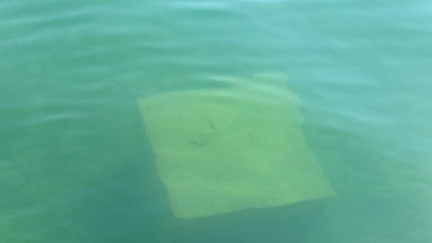 Foto - Herkes ne olduğunu merak ediyor: İznik gölünde şaşırtan cisim!