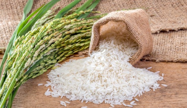 Foto - Herkes o ürünü stok ediyor! Fiyatları patladı