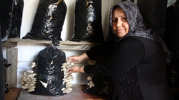 Foto - Herkes onu 'Mantar Ana' olarak tanıyor! 5 metrekare alanda ekmeğini böyle kazanıyor