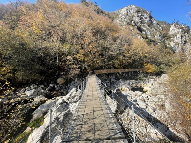 Foto - Herkes oraya akın etti! 200 bin kişi ziyarete geldi