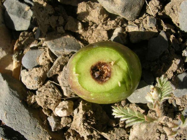 Foto - Herkes perişan olacak! Mahvediyorlar! Alarm verildi! O iller diken üstünde