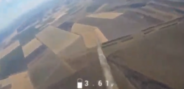 Foto - Herkes şaka sandı ama değil! Sopayla insansız hava aracı düşürüldü