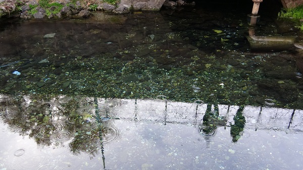 Foto - Herkes şaşkın! Burası Balıklıgöl değil Diyarbakır