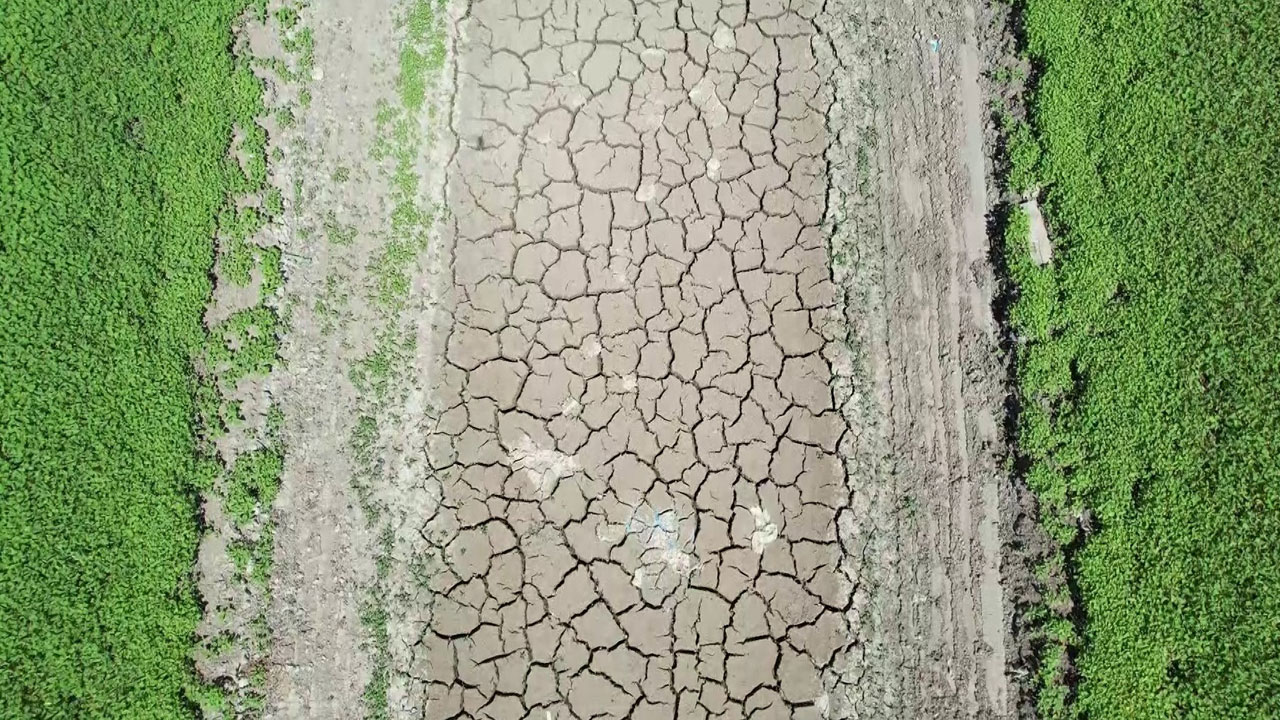 Foto - Herkes şaşkın! Gölet kurudu, yıllardır gizlenen yol gün yüzüne çıktı