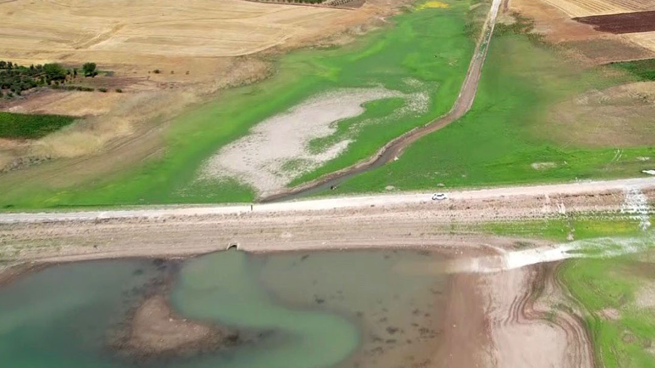 Foto - Herkes şaşkın! Gölet kurudu, yıllardır gizlenen yol gün yüzüne çıktı