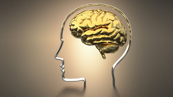 Foto - Herkes şaşkın! İlk kez beyin bedenden bağımsız canlı kaldı ama... 