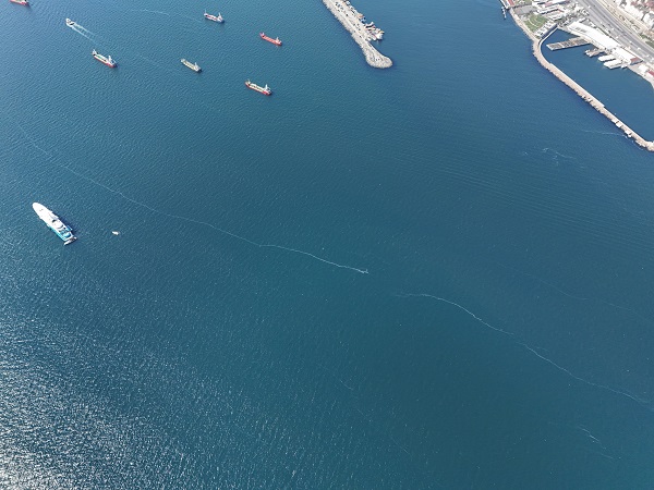 Foto - Herkes şaşkın! Marmara Denizi'ni istila ettiler