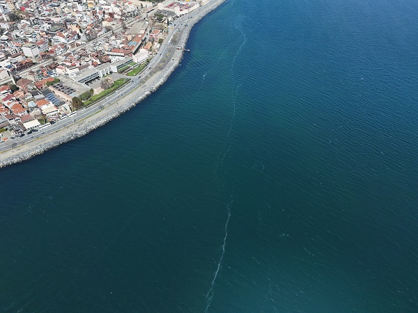 Foto - Herkes şaşkın! Marmara Denizi'ni istila ettiler