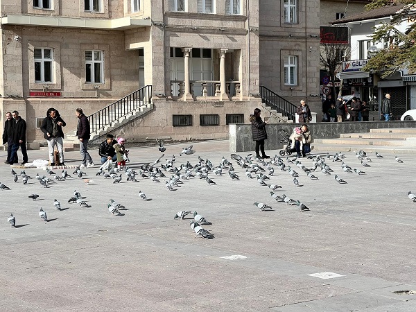 Foto - Herkes şaşkın! O ile kış gelmiyor