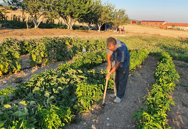 Foto - Herkes şaşkın! Tam 83 santimetre uzunluğunda
