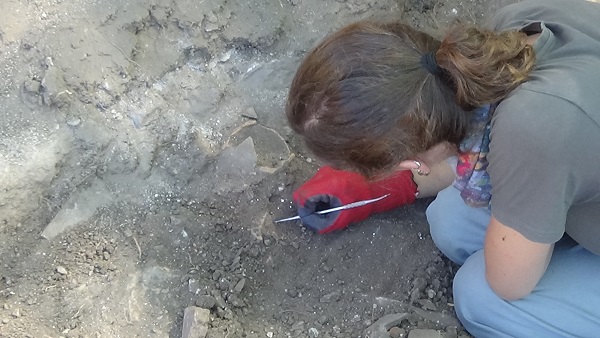 Foto - Herkes şaşkın! Toprağın altından bin 700 yıllık villa çıktı