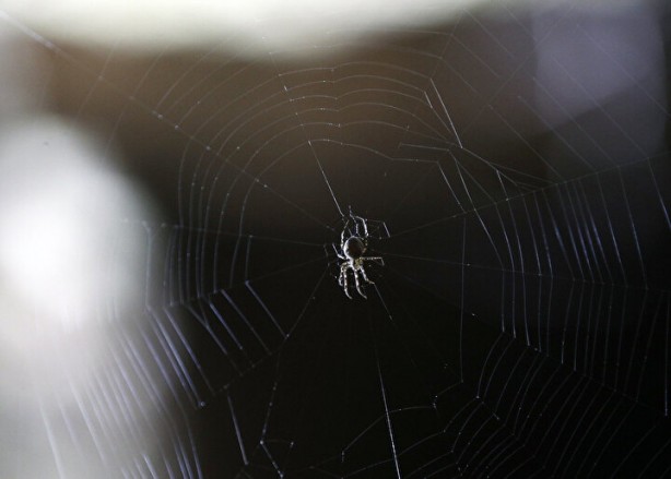 Foto - Herkes şaşkına döndü! Ayasofya'nın altından çıktı