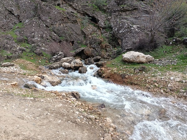 Foto - Herkes şaştı kaldı | Kuruyan kaynak depremden sonra canlandı! 