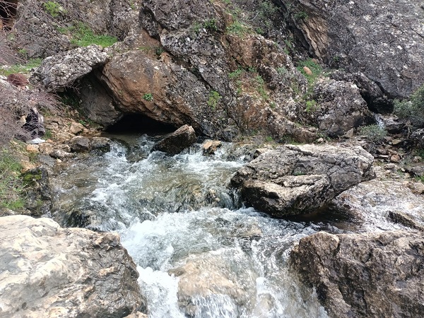 Herkes şaştı kaldı | Kuruyan kaynak depremden sonra canlandı! 