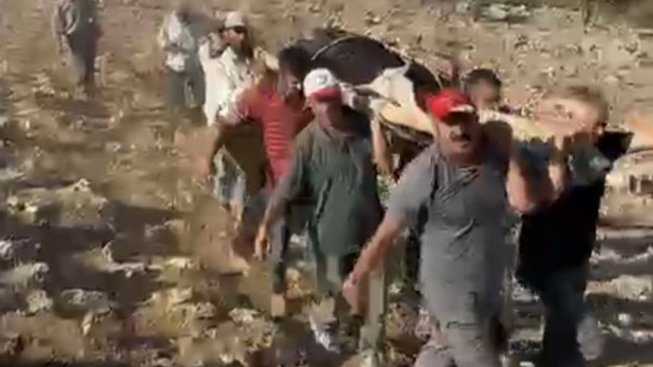Herkes seferber oldu! 500 kiloluk inek 2 kilometre omuzda taşındı