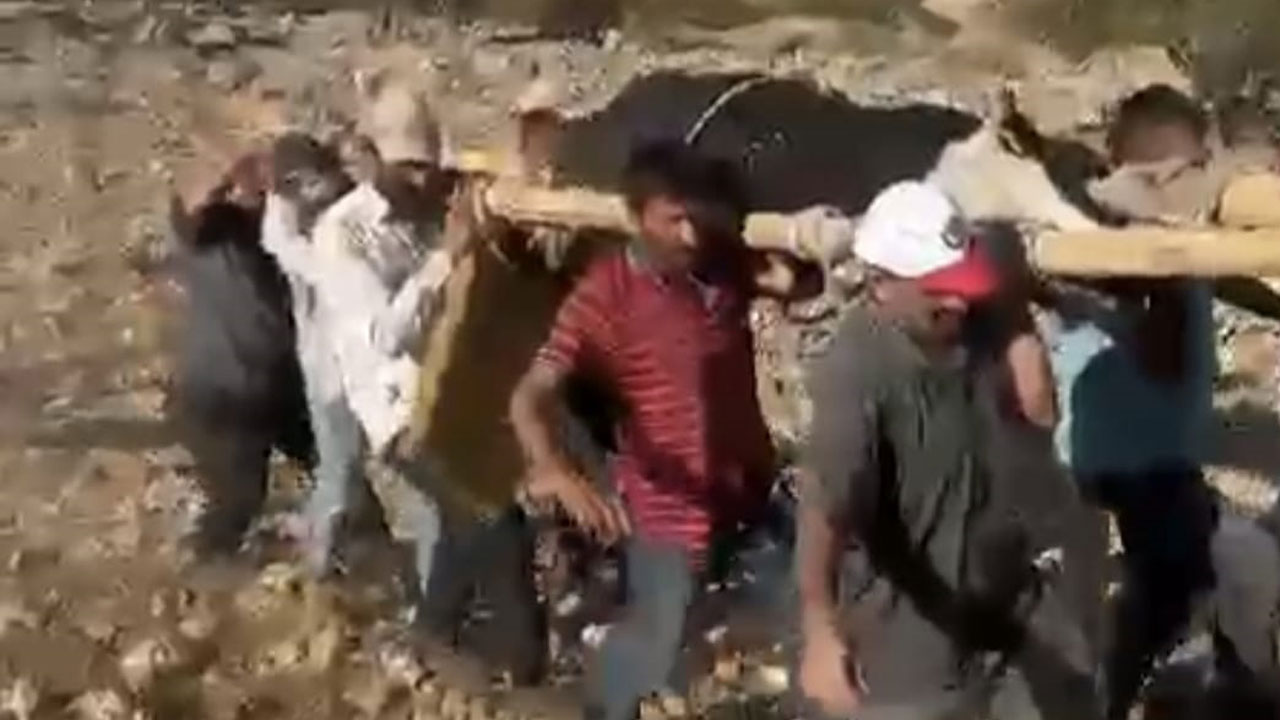 Foto - Herkes seferber oldu! 500 kiloluk inek 2 kilometre omuzda taşındı