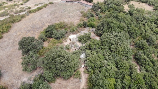 Herkes şokta! Neler olduğunu anlayamadılar: Kazı çalışmaları artık TTK destekli olacak...