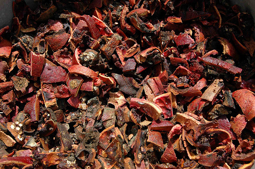 Foto - Herkes tanelerini yiyor! Asıl olay kabuğunda...