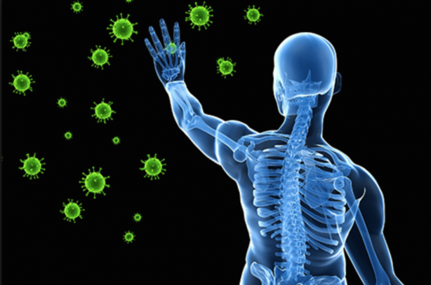 Foto - Herkes tanelerini yiyor! Asıl olay kabuğunda...